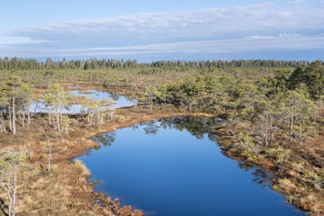 Seli, Estonia - May 04 2025: Symmetrical Mire Hollow in Seli Raised Bog. Reflections of Bonsai Pines, Blue Sky, and Clouds on Still Water on a Bright Spring Day in Protected Wetland Landscape