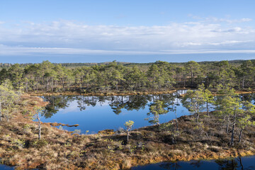 Seli, Estonia - May 04 2025: Symmetrical Mire Hollow in Seli Raised Bog. Reflections of Bonsai Pines, Blue Sky, and Clouds on Still Water on a Bright Spring Day in Protected Wetland Landscape