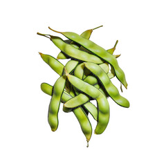 Fresh edamame pods ready for cooking and snacking PNG on a transparent background 