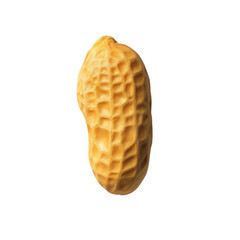 Single raw peanut PNG on a transparent background 