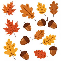 Obraz premium Autumn Leaves and Acorns Illustration