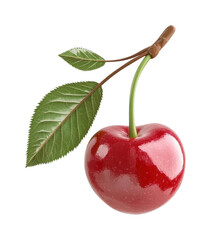 Shiny ripe cherry with green leaves close-up, cut out - stock png.
