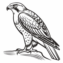 Obraz premium Falcon illustration standing on branch