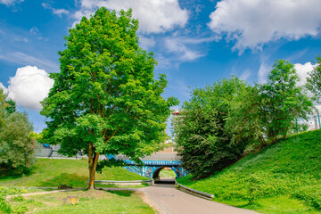 Hidden Pond with Water Lilies and Greenery in Ingolstadt