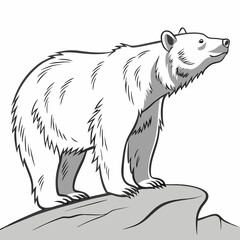 Fototapeta premium Bear standing proudly on a rock
