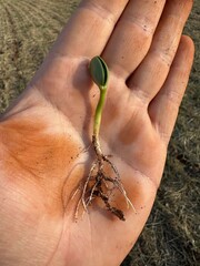 Changing Life in Your Hand