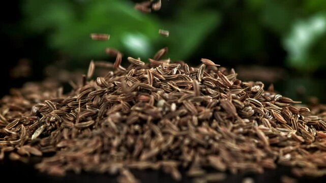 Cumin seeds fall on the table. Filmed on a high-speed camera at 1000 fps. High quality FullHD footage