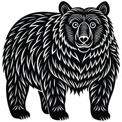 vector illustration of bear