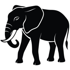 elephant vector illustration