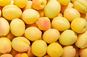 fresh ripe apricots as background