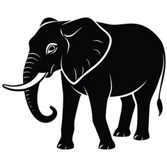 elephant vector illustration