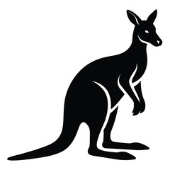 kangaroo vector illustration
