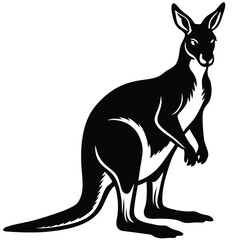 kangaroo vector illustration