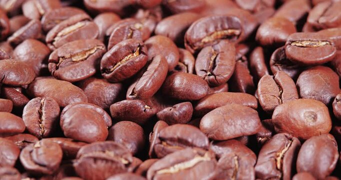 Arabica Coffee Beans Maragogipe Rotating Background. Elephant Beans