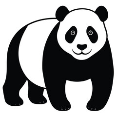 panda bear vector illustration