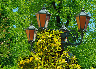 Decorative lanterns in the park on the background of a blooming magnolia
