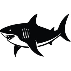 shark vector illustration