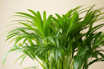 Obraz premium Close-up view of vibrant green palm plant foliage.