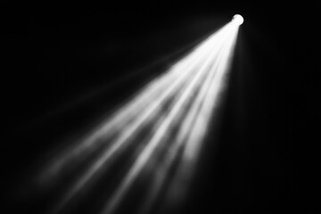 A bright spotlight shines down from the upper right corner of the image in a black room, creating a dramatic, contrasting effect.