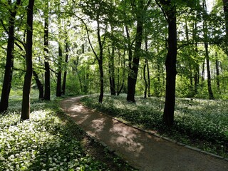 Park Zielona, Silesia, Poland, Dąbrowa Górnicza