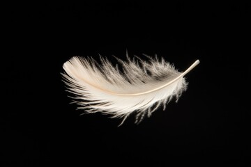 A delicate, cream-colored feather floats elegantly against a stark transparent background, showcasing its intricate structure and ethereal lightness.