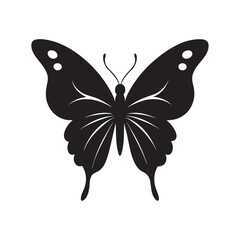 Elegant Butterfly With Spread Wings