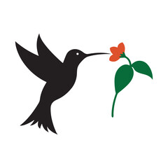 Hummingbird Sipping Nectar From Flower