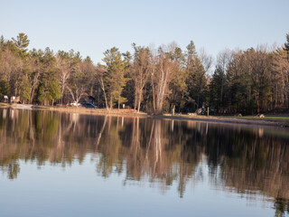 reflection of trees in water at the lake park