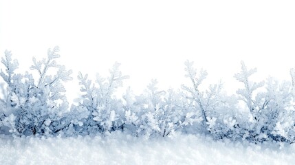 White frost, winter ice, and snow border, isolated on white or transparent PNG