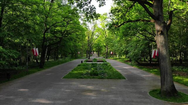 Dąbrowa G&oacute;rnicza, aerial shots of Park Zielona