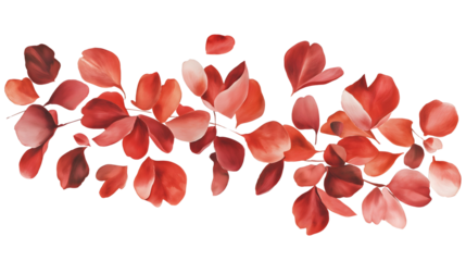 falling red flower petals scattered isolated png transparent cutout