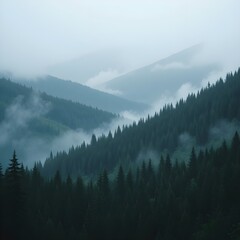Naklejka premium Misty Mountain Forest Landscape with Dark Green Trees