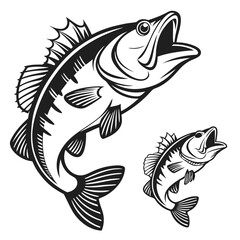 Largemouth Bass Fish Illustration Black and White Design Graphic