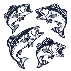 Four Vintage Style Jumping Bass Fish Illustrations Isolated on White