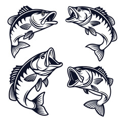 Four Vintage Style Jumping Bass Fish Illustrations Set