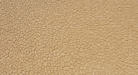 A cracked earth texture resembling parched desert soil, related to the environmental awareness industry, stock photography, hd