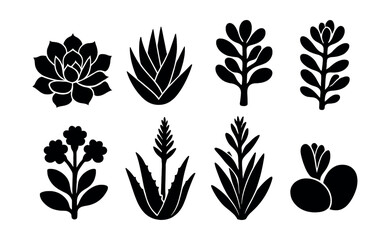 Succulent silhouette icons set – succulents, cactus, aloe, echeveria, agave, plant, nature, botanical. Vector icons set
