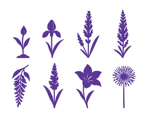 Botanical flourish: purple flower growth silhouettes icons set – bud, blossom, bloom, lavender, lily, allium. Vector icons set