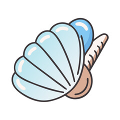 Seashell clam shell sea ocean beach summer vacation marine life aquatic mollusk conch seashell