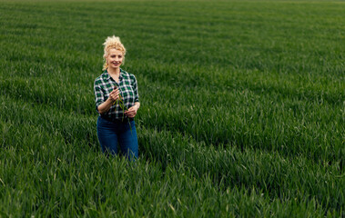 Fototapeta premium Adult female farmer standing in green wheat field examining root of a crop.