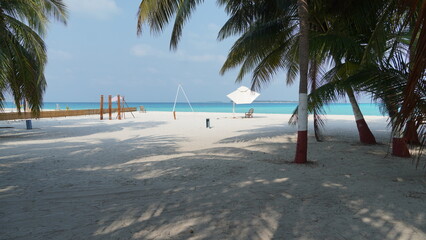 tropical beach with palm trees
