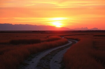 Sunrise Over Amber Grasslands