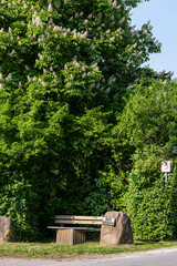 Obraz premium bench in the park