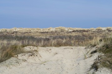 Vom Naturpfad Osterhook auf der deutschen Nordseeinsel Langeoog aus sind Salzwiesen und im Hintergrund bewachsene Sanddünen zu sehen. Es ist ein sonniger Frühlingstag.