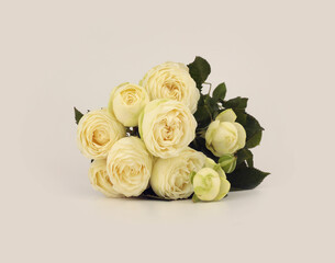Cream beige Yellow rose flower bouquet on light neutral background.