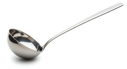Stainless steel ladle