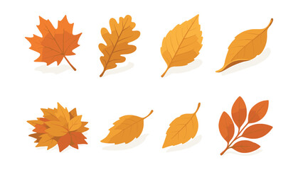 Autumn leaves icons set – maple, oak, elm, birch, beech, poplar, linden, ash. Vector icons set