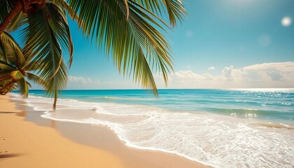 Fototapeta premium palm tree on the beach
