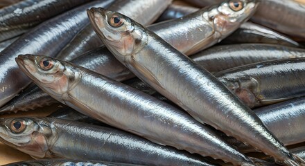 Fototapeta premium Pile of Sardine Fish Silver Color