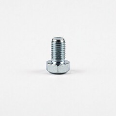 A single silver-colored bolt with a hexagonal head,